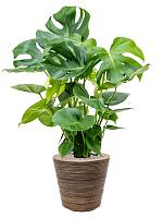 Кашпо Drypot rattan stripe round grey D38.5 H36 см