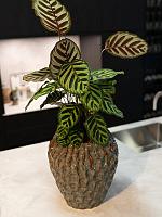 Ваза Rachel pot tall ocean D26 H28 см Ваза Rachel pot tall ocean D26 H28 см