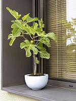 Кашпо Fiberstone peter s glossy white D20 H12 см