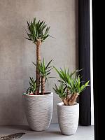 Кашпо Capi nature rib nl vase elegant low ivory D34 H46 см Кашпо Capi nature rib nl vase elegant low ivory D34 H46 см