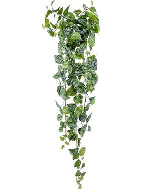 Сциндапсус Пиктус ампельный искусственный Сциндапсус Пиктус ампельный искусственный