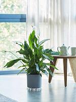 Подставка под кашпо круглая D25 H1.5 см