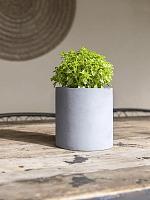 Кашпо Natural puk s grey D15 H15 см