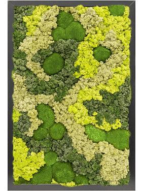 Картина из мха mdf ral 9005 satin gloss 30% ball moss 70% reindeer moss (mix) Картина из мха mdf ral 9005 satin gloss 30% ball moss 70% reindeer moss (mix)