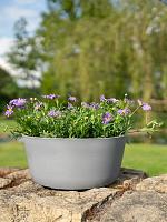 Кашпо Palermo bowl grey D27 H12 см Кашпо Palermo bowl grey D27 H12 см