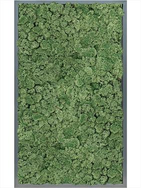 Картина из мха mdf ral 7016 satin gloss 100% reindeer moss (moss green) Картина из мха mdf ral 7016 satin gloss 100% reindeer moss (moss green)