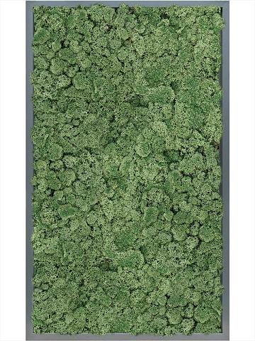 Картина из мха mdf ral 7016 satin gloss 100% reindeer moss (moss green) Картина из мха mdf ral 7016 satin gloss 100% reindeer moss (moss green)