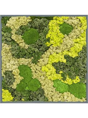 Картина из мха mdf ral 7016 satin gloss 30% ball moss 70% reindeer moss (mix) Картина из мха mdf ral 7016 satin gloss 30% ball moss 70% reindeer moss (mix)