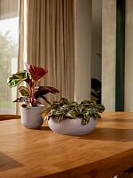 Кашпо Jazz bowl lavender lilac D28 H9 см