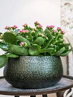 Кашпо Noor bowl velvet green D28 H13 см