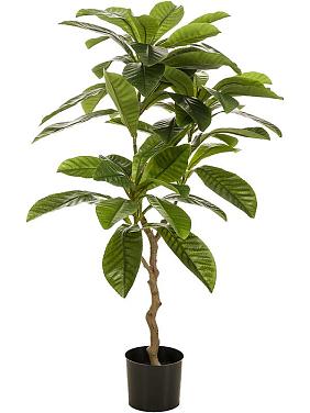 Плюмерия (Франжипани) искусственная Плюмерия (Франжипани) искусственная