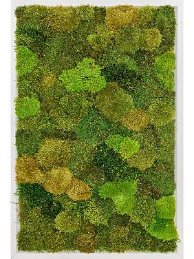 Картина из мха aluminium 20% flat and 80% exclusive moss (mix)