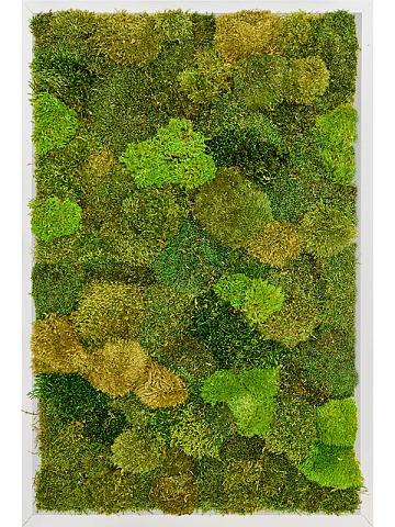 Картина из мха aluminium 20% flat and 80% exclusive moss (mix) Картина из мха aluminium 20% flat and 80% exclusive moss (mix)