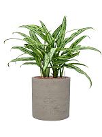 Кашпо Rough puk l grey washed D25 H25 см