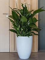 Кашпо Fiberstone ben l matt white D40 H55 см