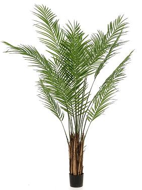 Пальма Арека искусственная