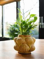 Кашпо Sanah pot mustard D14 H11 см