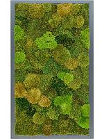 Картина из мха mdf ral 7016 satin gloss 20% flat and 80% exclusive moss (mix) L100 W60 H6 см