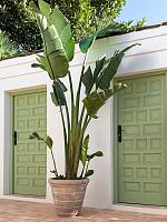 Кашпо Treasure selena m chalk beige D36 H32 см