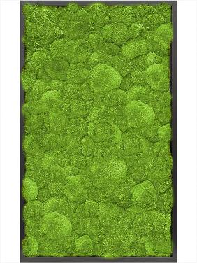 Картина из мха mdf ral 9005 satin gloss 100% ball moss Картина из мха mdf ral 9005 satin gloss 100% ball moss