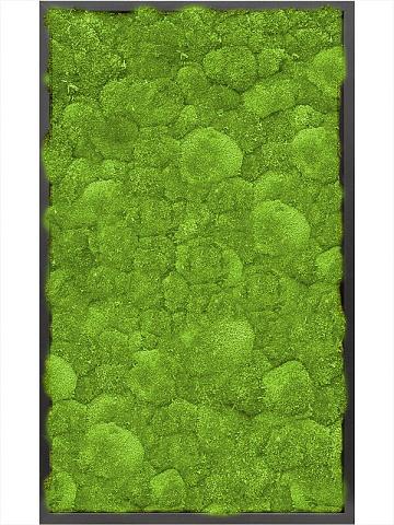 Картина из мха mdf ral 9005 satin gloss 100% ball moss Картина из мха mdf ral 9005 satin gloss 100% ball moss