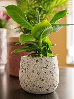 Кашпо Tina pot terrazo grey D23 H22 см