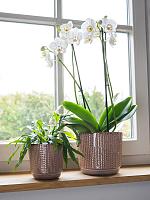 Кашпо Cille pot old pink D21 H20 см