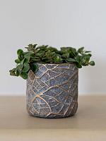 Кашпо Denzel pot shiny concrete D8 H7 см