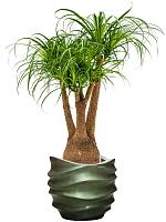 Кашпо Baq gradient lee couple matt forest green (с техническим горшком) D41 H37 см