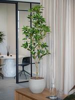 Кашпо Cement & stone mini orb m beige washed D25 H21 см