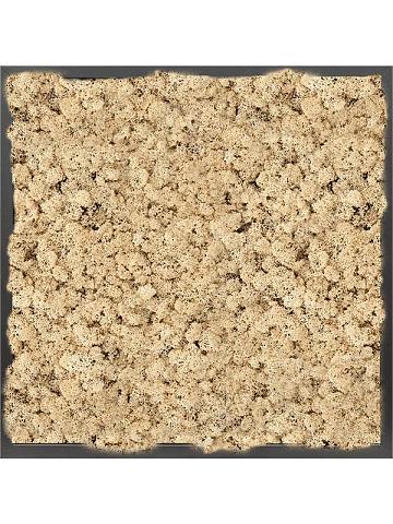Картина из мха mdf ral 9005 satin gloss 100% reindeer moss (natural) Картина из мха mdf ral 9005 satin gloss 100% reindeer moss (natural)