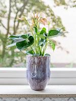 Кашпо Davide pot lavender D15 H20 см