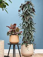 Кашпо Baq dune darcy beige D41 H37 см Кашпо Baq dune darcy beige D41 H37 см