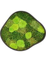 Картина из мха organic frame #2 earth mos (mix) L40 W35 H5 см