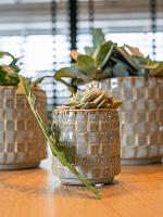 Кашпо Stian pot soft jade D16 H15 см Кашпо Stian pot soft jade D16 H15 см
