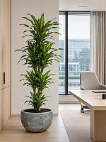 Кашпо Baq sandora bowl green D52 H29 см