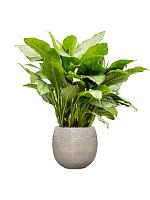 Кашпо Marly pot cream D41 H38 см