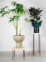 Кашпо Rumba pot petrol D50 H50 см