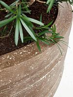 Кашпо Baq polystone coated junar couple rock D150 H120 см