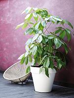 Кашпо Loft urban round with wheels white D39 H35 см