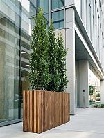 Кашпо Baq radia rectangle natural (с техническим горшком) L107 W38 H75 см