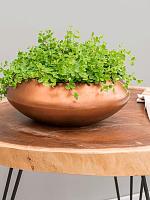 Кашпо Baq metallic silver leaf bowl ufo matt copper D40 H15 см Кашпо Baq metallic silver leaf bowl ufo matt copper D40 H15 см