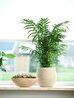 Кашпо Ryan pot shiny sand D26 H26 см