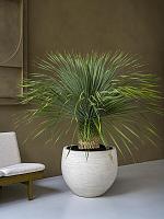 Кашпо Urban jumbo orb xs ivory washed D69 H57 см