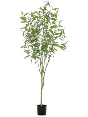 Эвкалипт шаровидный искусственный