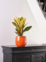 Кашпо Charlotte pot orange D29 H26 см