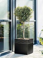 Кашпо Baq line-up cube matt black (с техническим горшком и подставкой на колесиках) L48 W48 H48 см