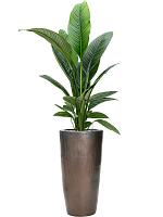 Кашпо Plain partner sepia D36 H70 см