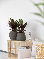 Кашпо Mediterranean hestia s umber brown D32 H28 см