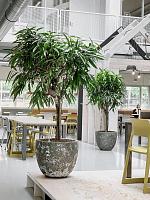 Кашпо Baq lava couple relic jade D45 H42 см